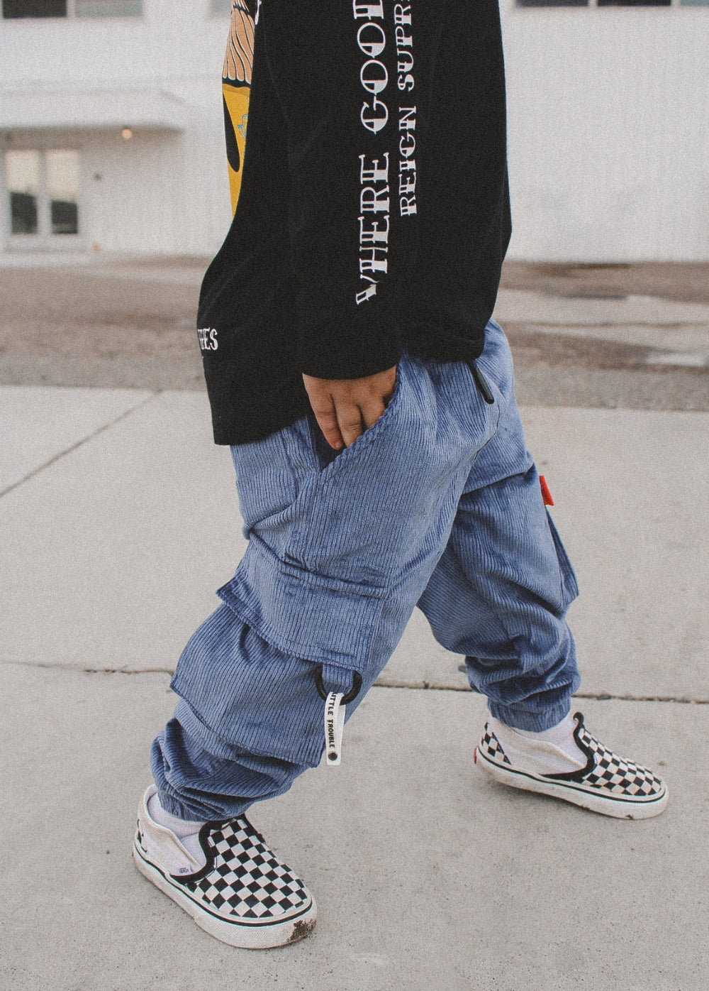 Dusty Blue Cord Cargos - Image 5